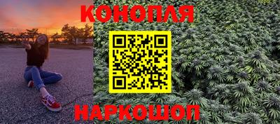 гидра Можга