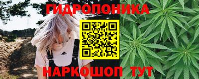 крисы Можайск