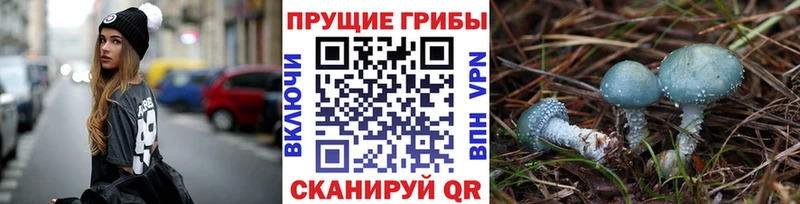 ОМГ ОМГ ONION Батайск Псилоцибиновые грибы Magic Shrooms наркошоп