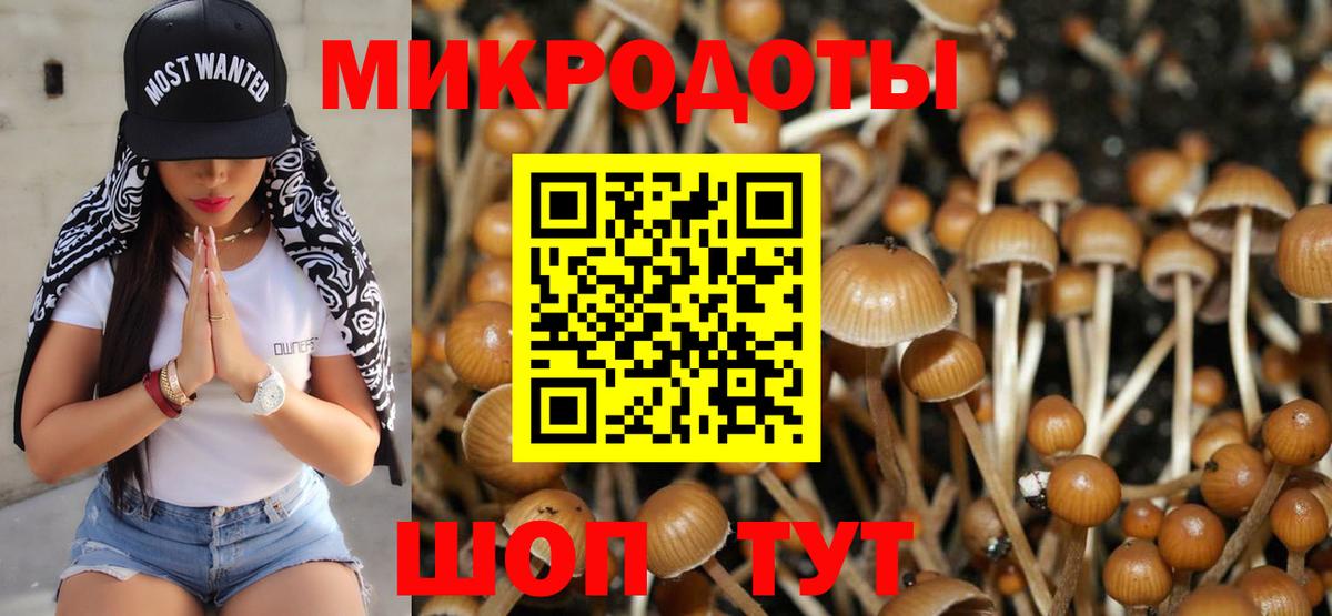 Псилоцибиновые грибы MAGIC MUSHROOMS  Вход с VPN  Батайск 